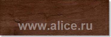 Atlas Encina 15x45