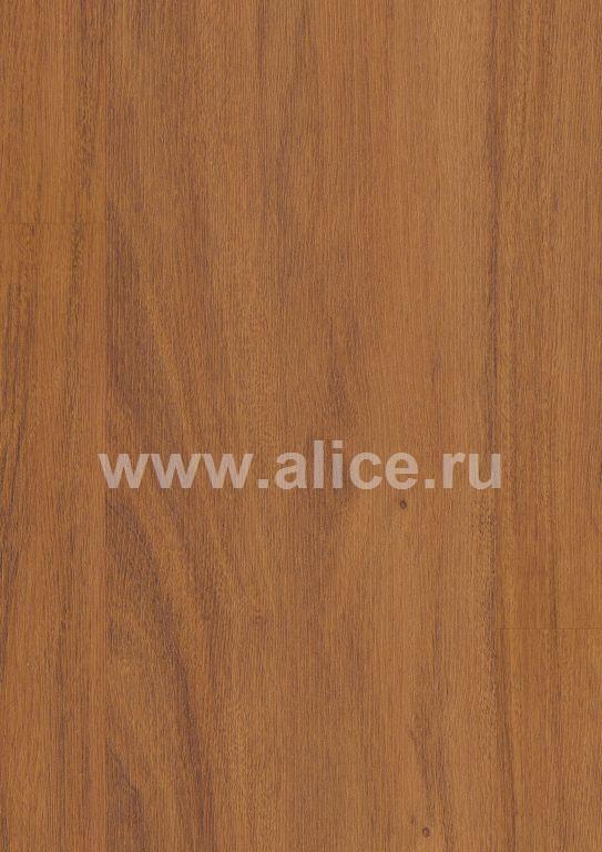 H2682 Дусси