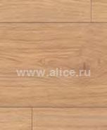 H2736 Дуб Шенон