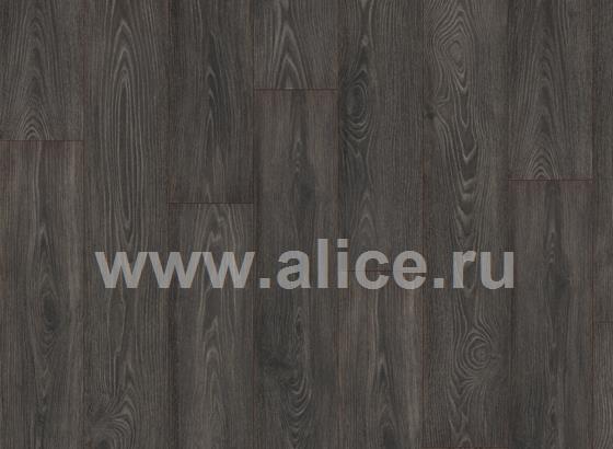 H2790 Акация торфяная