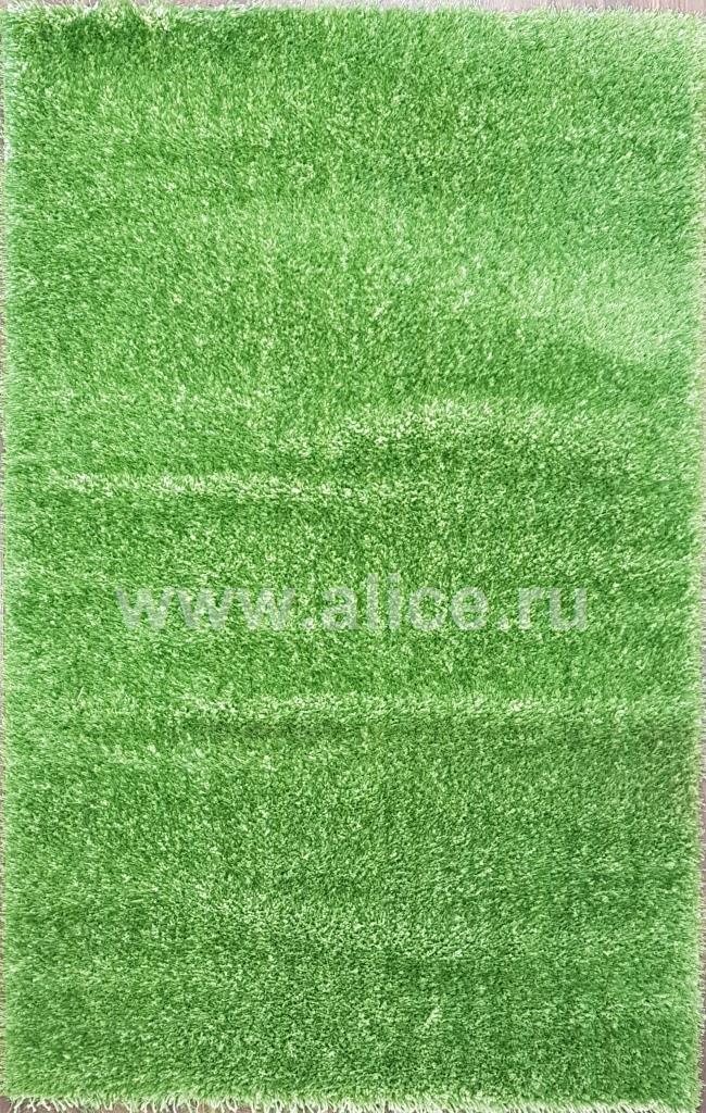 Shaggy   Style  0000F  D.Green-D.Green  Pr