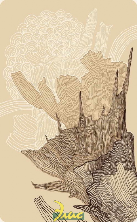 картинка Карпеты, обр p2447/a2/103 Бежевый от магазина Элис