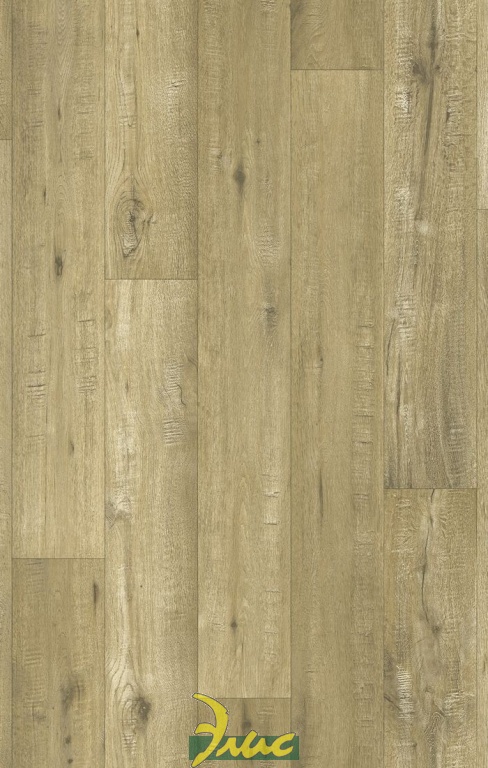 картинка Supreme_Tasman Oak 697M от магазина Элис