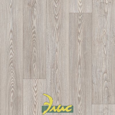 картинка Master_Gloster 4 от магазина Элис